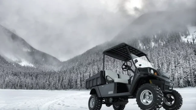Golf Aracı Kış Bakımları